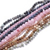 Natural Gemstone Beads Strands G-F591-03-2