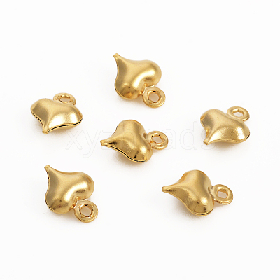 304 Stainless Steel Charms STAS-I149-05C-G-1