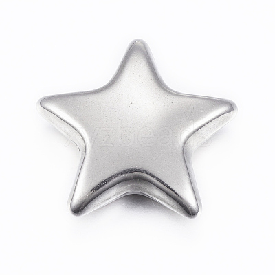 Tarnish Resistant 304 Stainless Steel Beads STAS-G179-10P-1