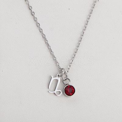 304 Stainless Steel Light Siam Rhinestone Birth Stone Constellation Pendant Necklaces FS-WG76580-13-1
