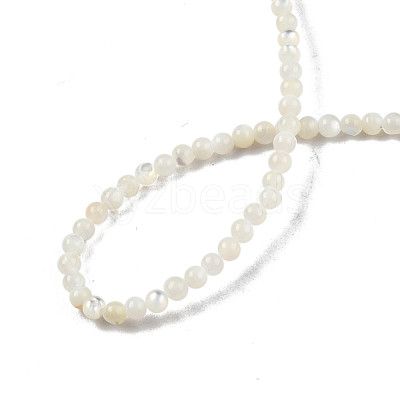 Natural White Shell Bead Strands SSHEL-N003-144A-01-1