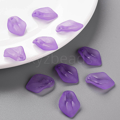 Transparent Frosted Acrylic Pendants MACR-S371-03A-747-1