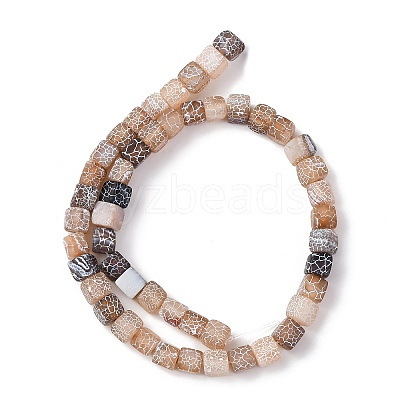 Natural Weathered Agate Beads Strands G-NH0038-01C-1