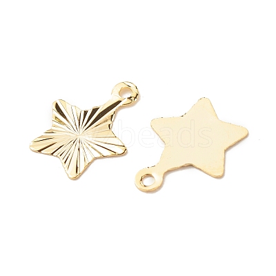 Brass Charms LS-X-KK-F831-021G-RS-1