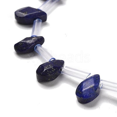 Natural Lapis Lazuli Beads Strands G-Q167-A25-02-1