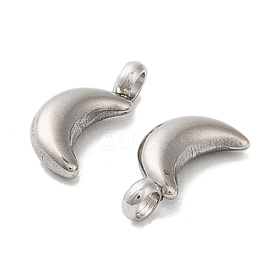 304 Stainless Steel Charms STAS-M017-14C-P-1-1