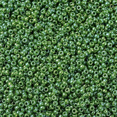 MIYUKI Round Rocailles Beads X-SEED-G007-RR0480-1