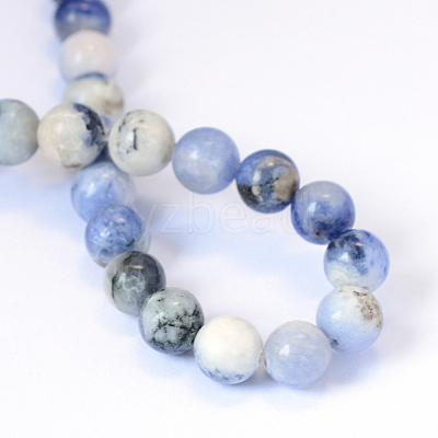 Natural Sodalite Round Bead Strands X-G-E334-4mm-08-1
