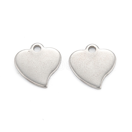 Non-Tarnish 304 Stainless Steel Charms STAS-K218-03P-1