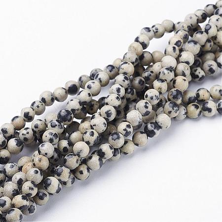 Natural Dalmatian Jasper Beads Strands GSR4mmC004-1