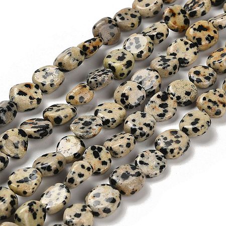 Natural Dalmatian Jasper Beads Strands G-P497-01E-80-1