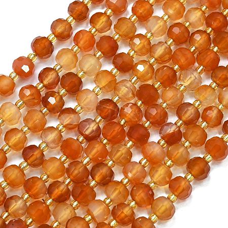 Natural Carnelian Beads Strands G-K389-E15-01-1