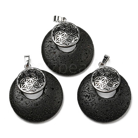 Natural Lava Rock Pendants KK-F751-M-A11-1