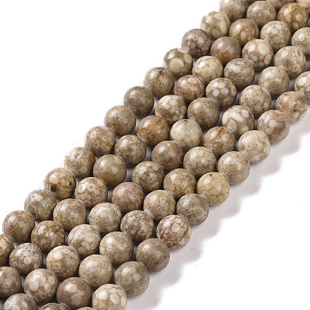 Natural Maifanite/Maifan Stone Beads Strands G-I187-6mm-01-1