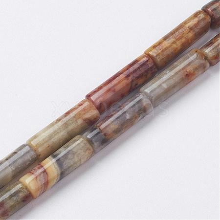 Natural Crazy Lace Agate Bead Strands G-G968-F11-1