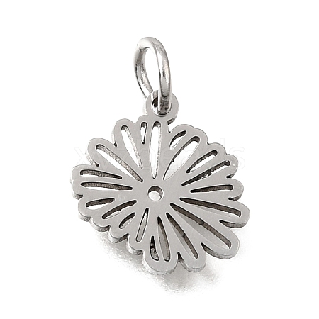 304 Stainless Steel Charms SA-CBA4CE0-01P-H-1