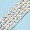 Natural Cultured Freshwater Pearl Beads Strands PEAR-F018-15-2