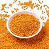 MIYUKI Round Rocailles Beads X-SEED-G008-RR0405-2