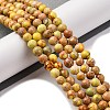Dyed Natural Regalite/Imperial Jasper/Sea Sediment Jasper Beads Strands G-B124-C02-04-2