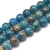 Natural Apatite Beads Strands G-I254-08C-2