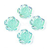 Transparent Resin Cabochons CRES-N030-001B-03-1