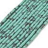Dyed Synthetic Turquoise Beads Strands G-P594-01B-04-1