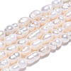 Natural Cultured Freshwater Pearl Beads Strands X-PEAR-N012-04R-1
