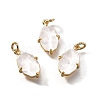 Brass Charms X1-KK-Q043-06G-03-1