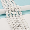 Natural Howlite Beads Strands G-M403-C07-3