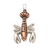 Tibetan Style Alloy Pendants FIND-C081-01A-01-1