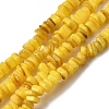 Natural Freshwater Shell Beads SHEL-B003-01A-1