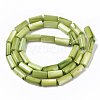 Natural Freshwater Shell Beads SHEL-R047-01F-2