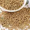 MIYUKI Round Rocailles Beads X-SEED-G008-RR0182-1