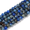 Dyed Natural Regalite/Imperial Jasper/Sea Sediment Jasper Beads Strands G-B124-C04-02-1