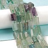 Natural Fluorite Beads Strands G-M403-B19-2