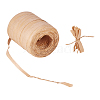 Raffia Natural Rope OCOR-PH0003-39-4