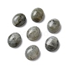 Natural Labradorite Cabochons G-G145-01A-61-1