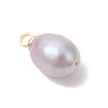 Natural Cultured Freshwater Pearl Rice Charms X-PALLOY-JF05078-01-4