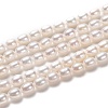 Natural Cultured Freshwater Pearl Beads Strands PEAR-L033-63A-1