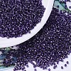 MIYUKI Delica Beads X-SEED-J020-DB0464-1