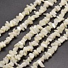 Natural White Mother of Pearl Shell Chip Bead Strands X-G-M205-63-1