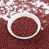 MIYUKI Round Rocailles Beads SEED-G008-RR0010-2
