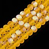 Transparent Glass Beads Strands LS-EGLA-A044-T6mm-MB05-1
