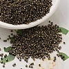 MIYUKI Delica Beads SEED-X0054-DB0022-1