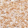 Glass Seed Beads GLAA-Q096-01F-2