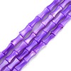 Natural Freshwater Shell Beads Strands SHEL-G013-01G-1