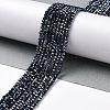 Electroplate Glass Beads Strands LS-GLAA-H021-01A-FP02-3