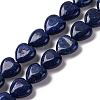 Natural Lapis Lazuli Dyed Beads Strands G-I372-A19-01-1