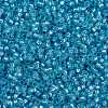 MIYUKI Round Rocailles Beads SEED-G009-RR0573-3