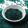 MIYUKI Round Rocailles Beads X-SEED-G008-RR2405-2